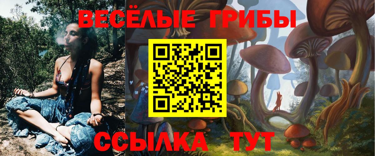 Псилоцибиновые грибы Cubensis  Псилоцибиновые грибы ЛСД  Вход с VPN  где купить   Сокол 