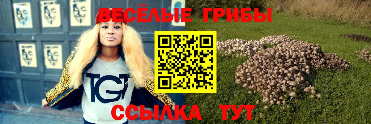 Псилоцибиновые грибы ЛСД Сокол